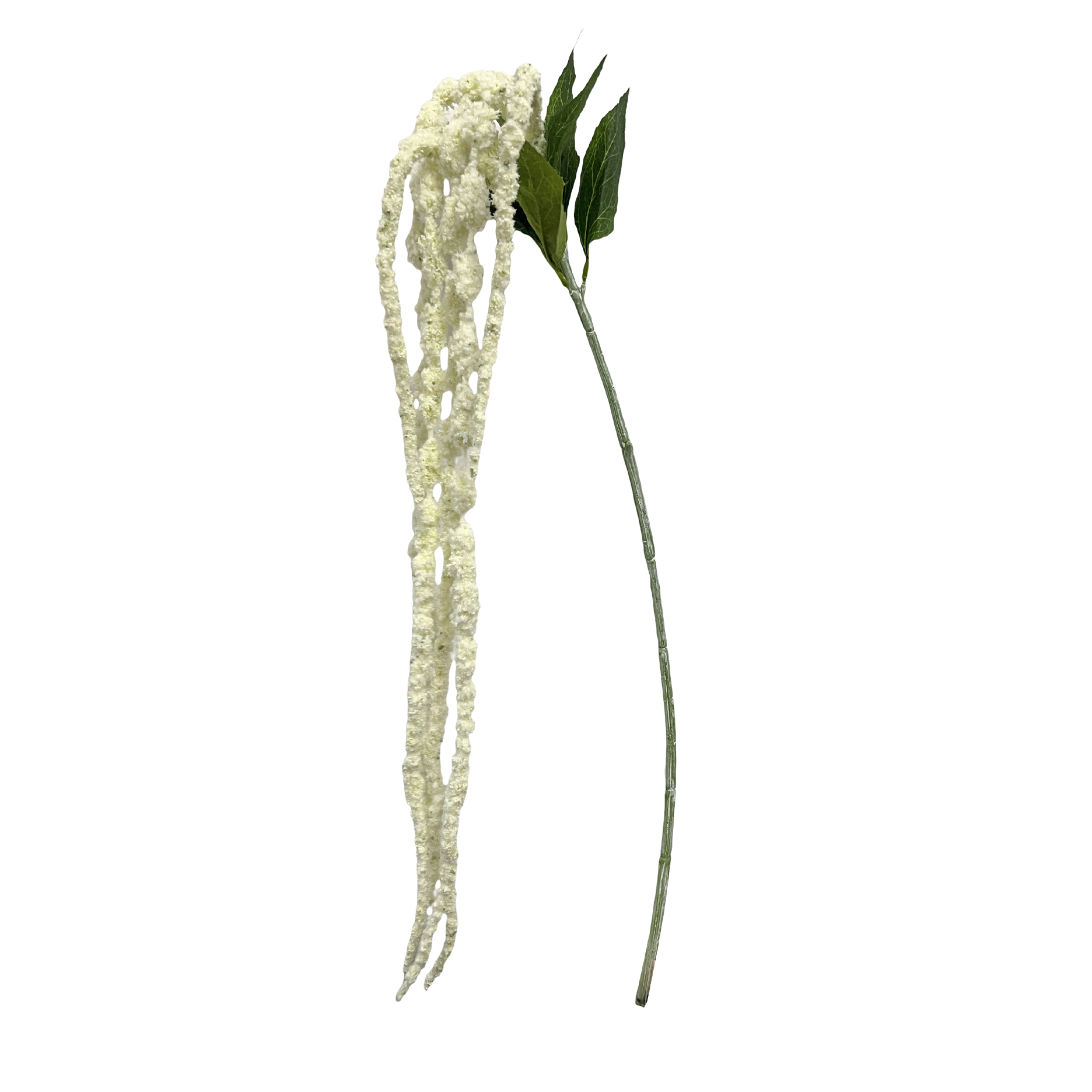 Kunstig Amaranthus, Rævehale