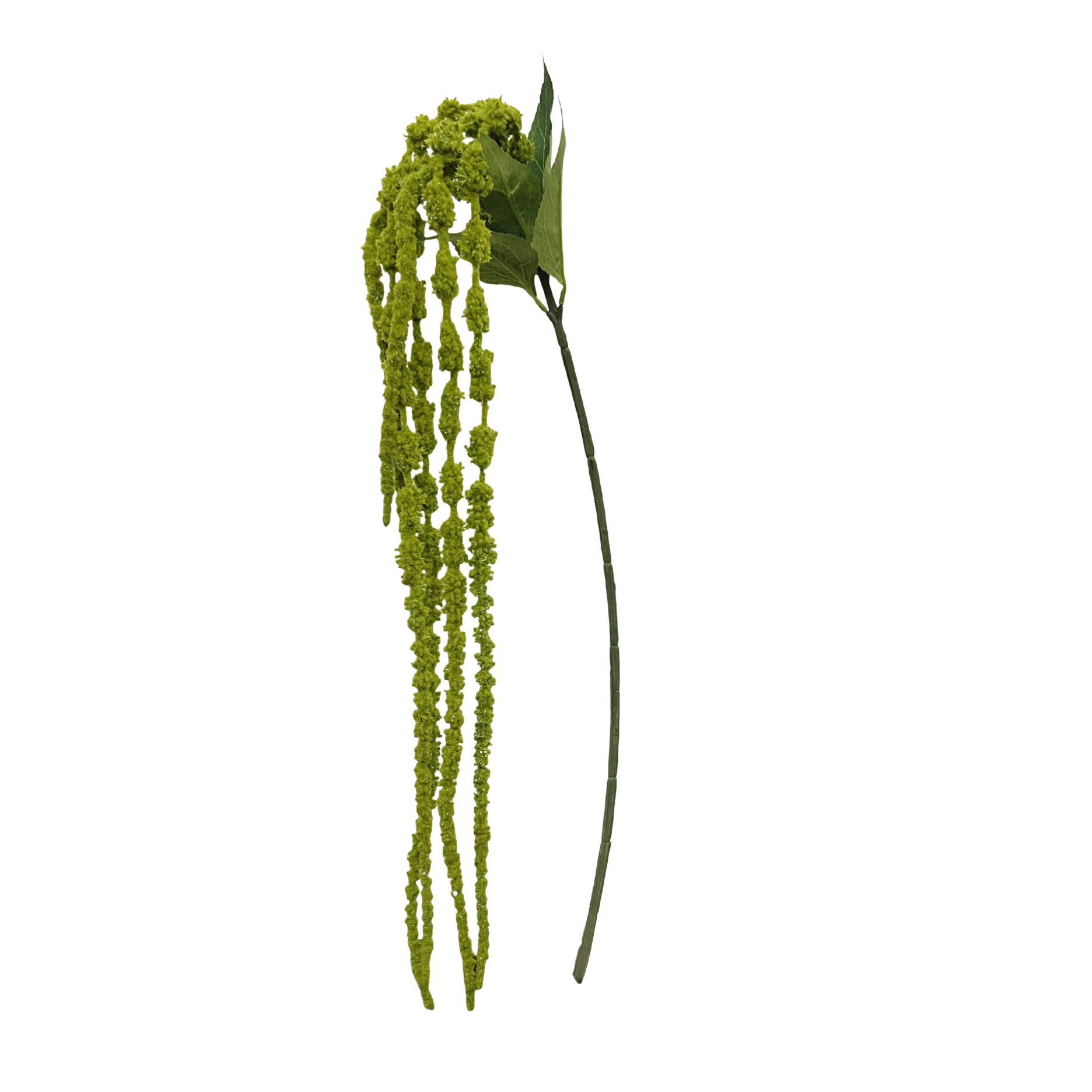 Kunstig Amaranthus, Rævehale
