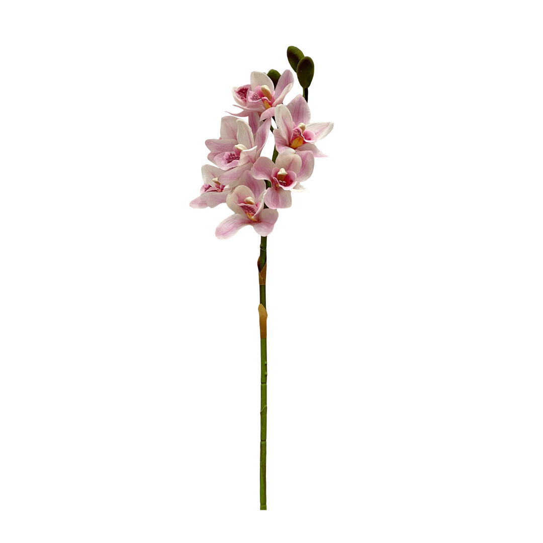 Kunstig cymbidium real touch