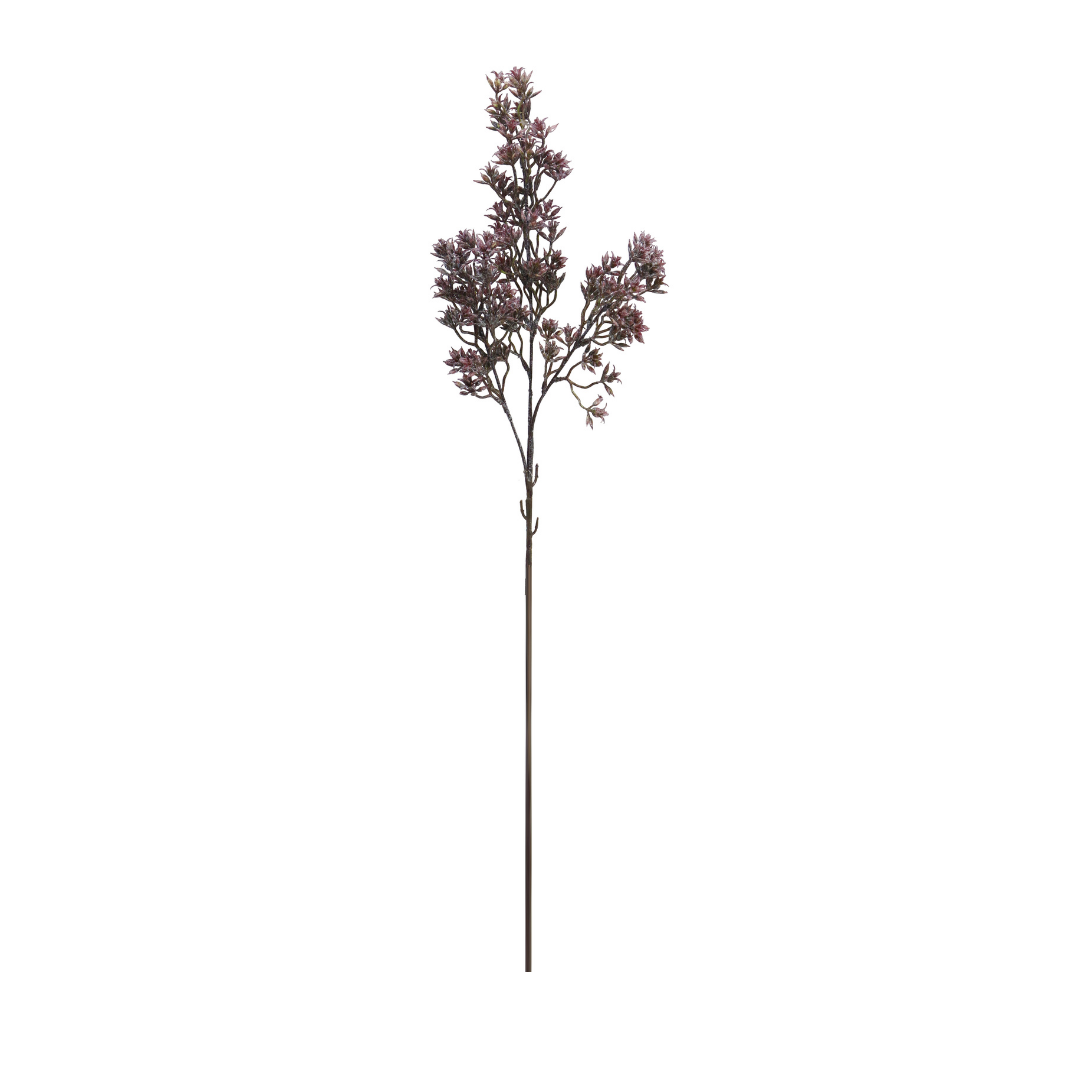 Kunstig Leucadendron Salignum