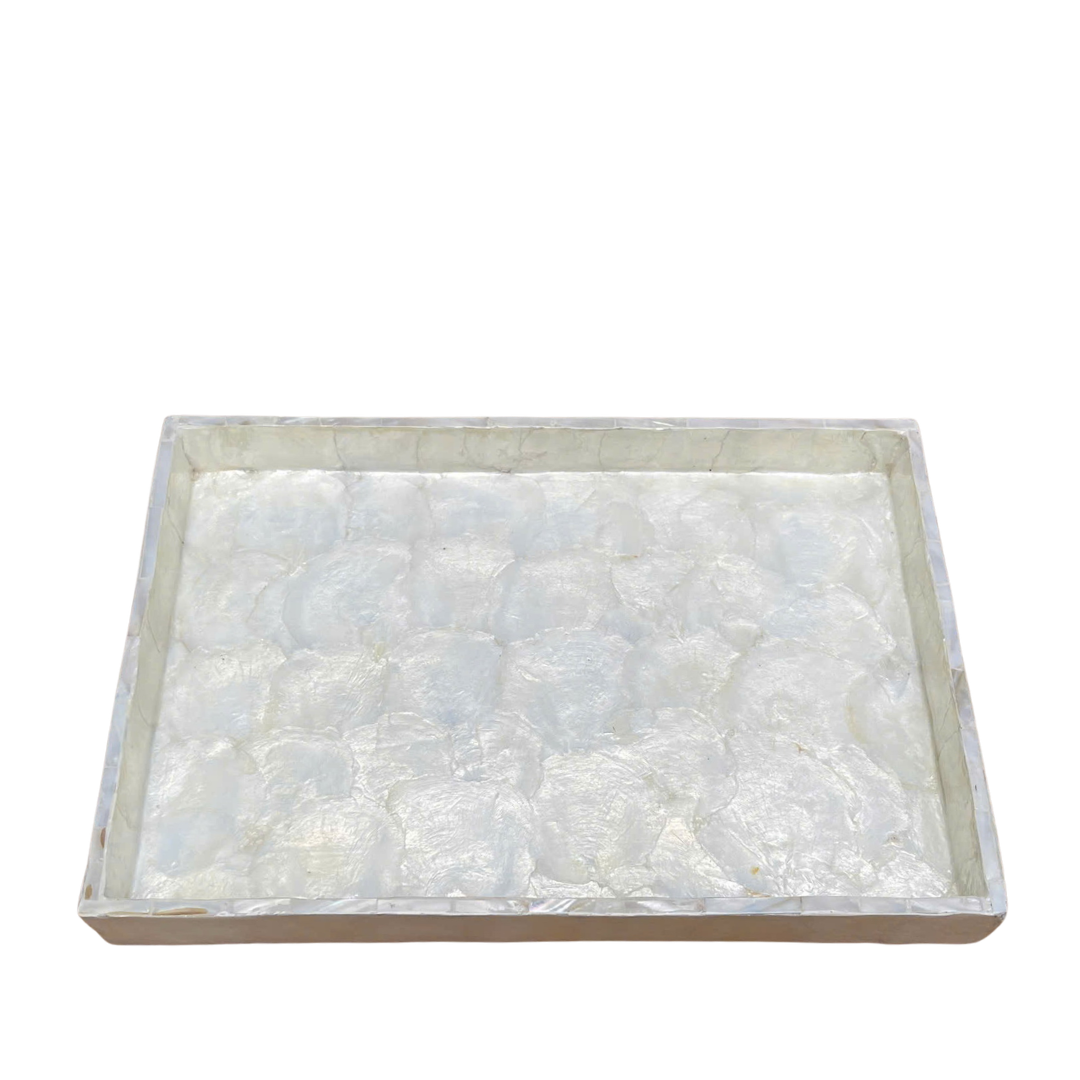 Seashell bakke Large
