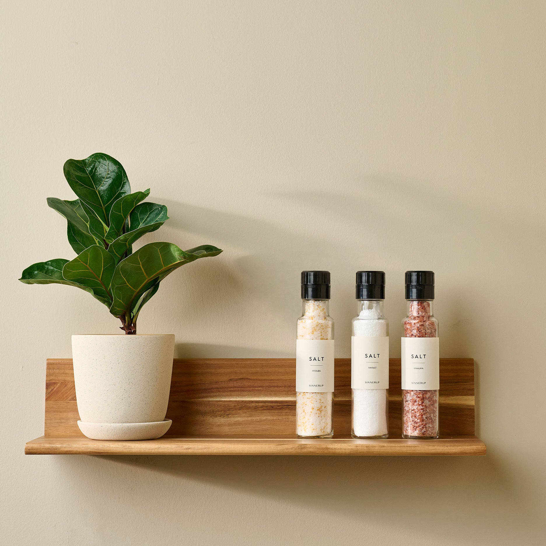 Himalaya salt
