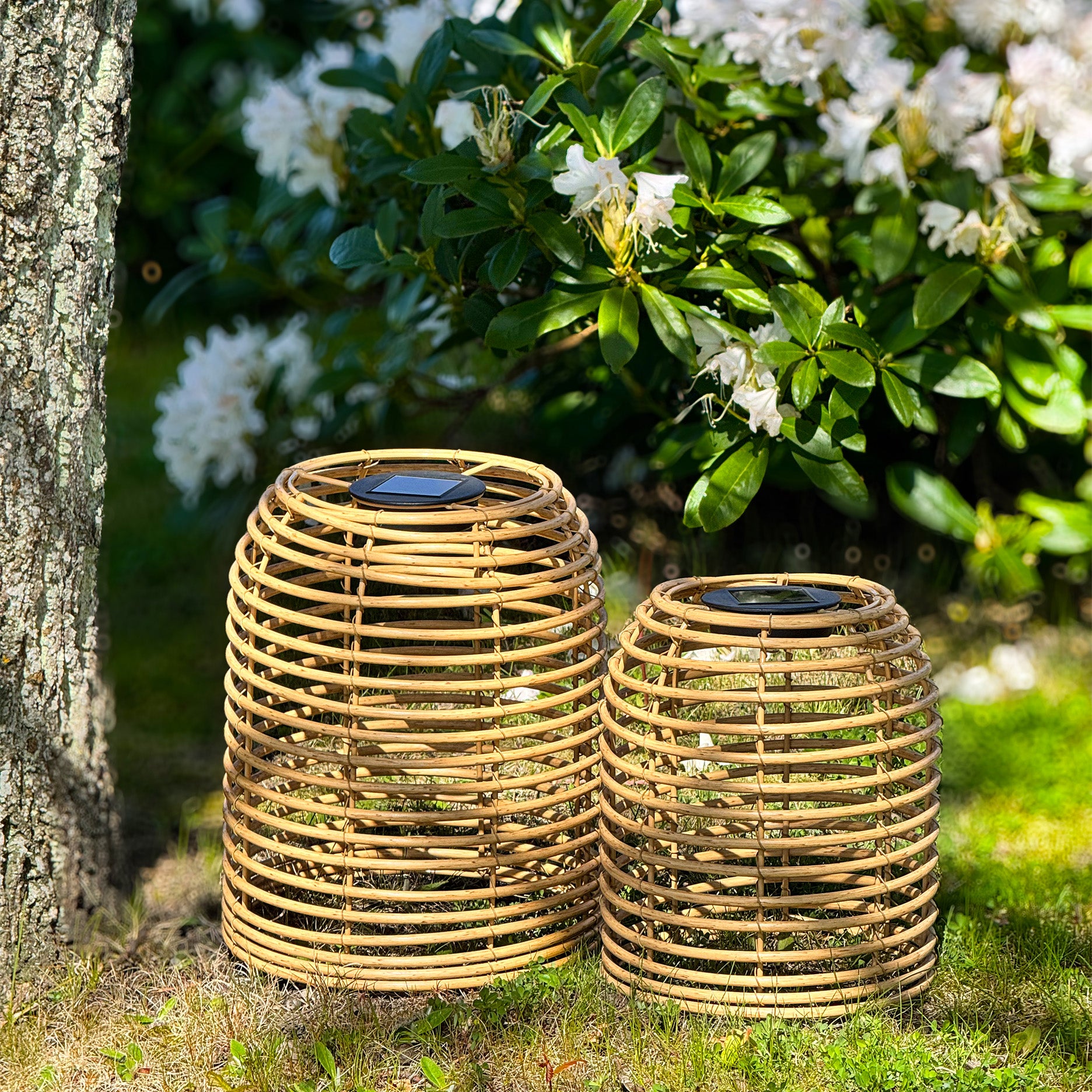 Beehive Solarleuchte H31