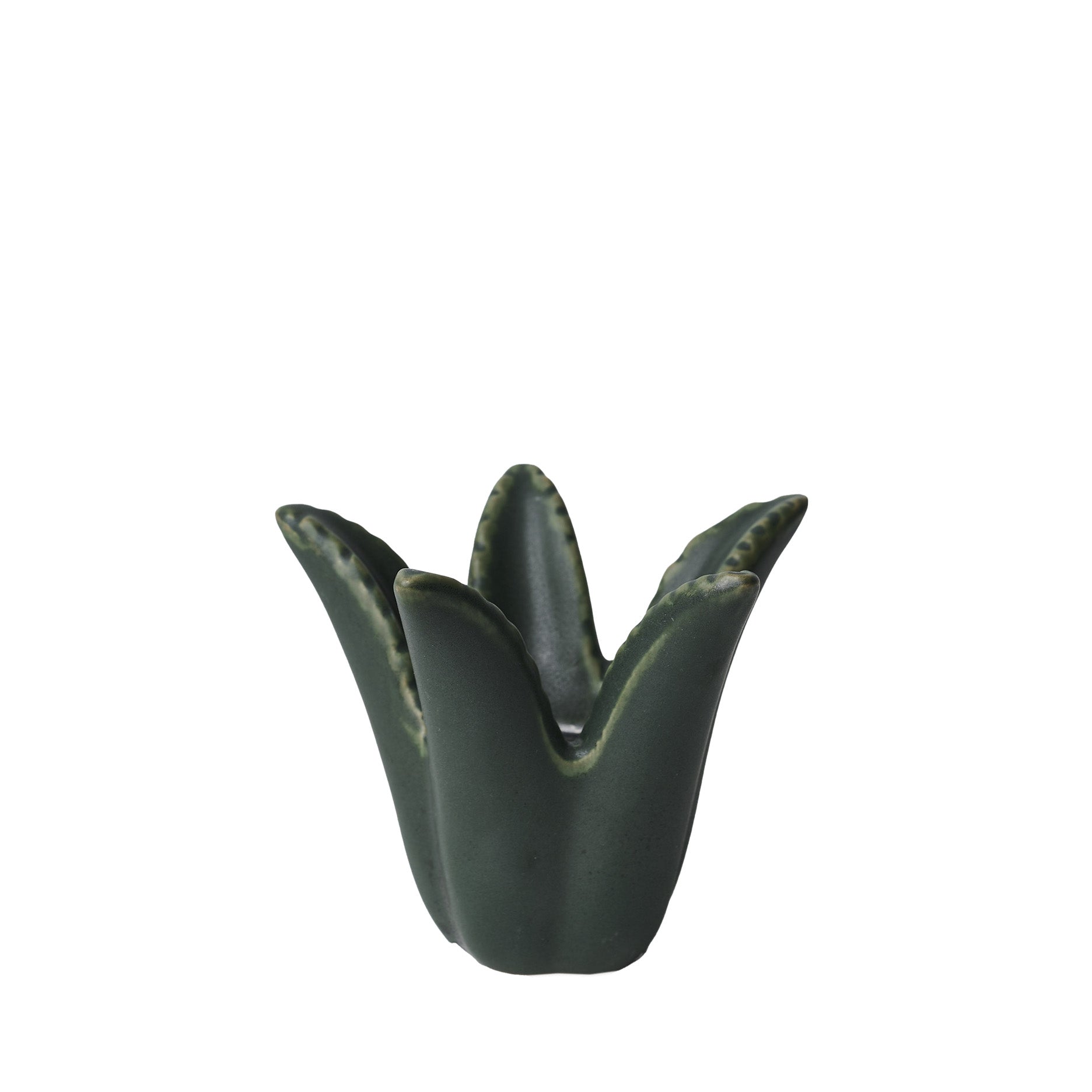 Succina lysestage