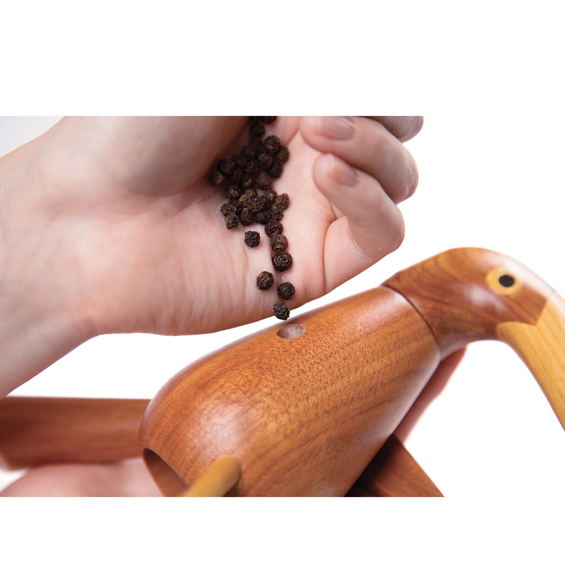 The Pepper Bird - Original