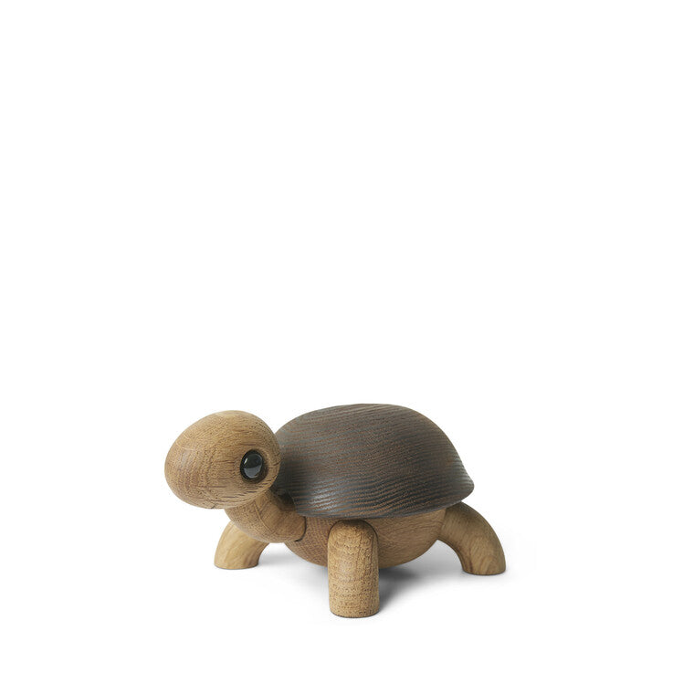 Speedy skildpaddeunge