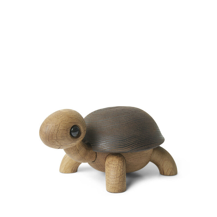 Slowy Skildpadde