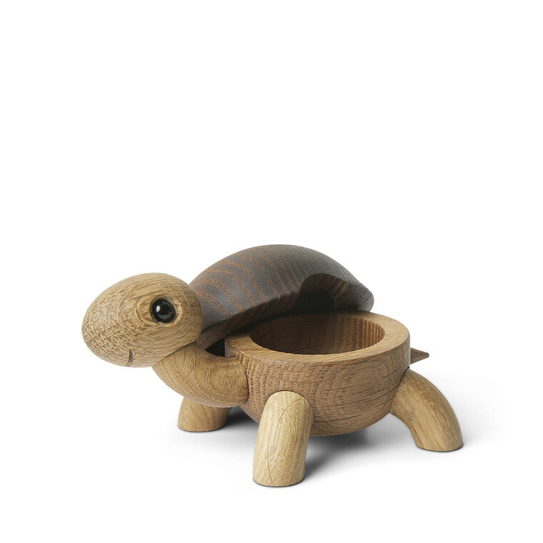 Slowy Skildpadde