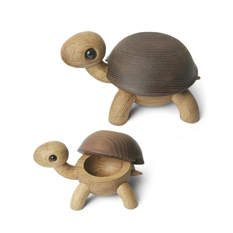 Slowy Skildpadde