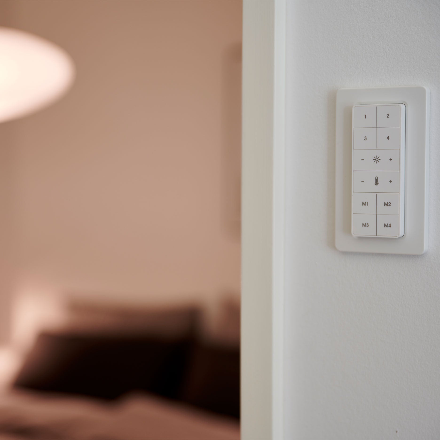 Smart Light Fernbedienung